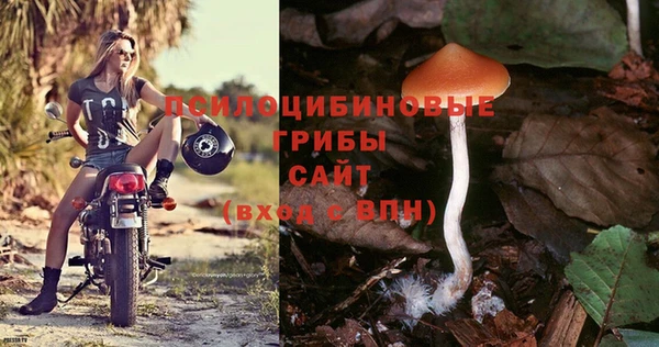 не бодяженный Каменногорск