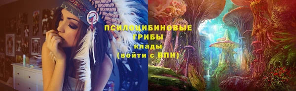 бошки Касимов