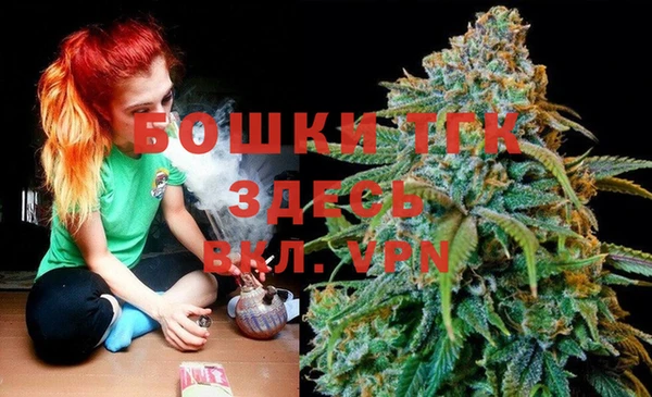 не бодяженный Каменногорск