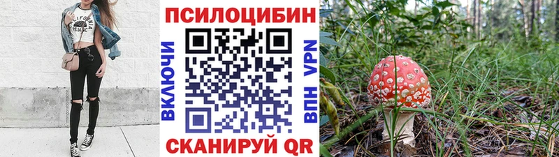 Купить закладки  Нелидово  Галлюциногенные грибы мицелий 
